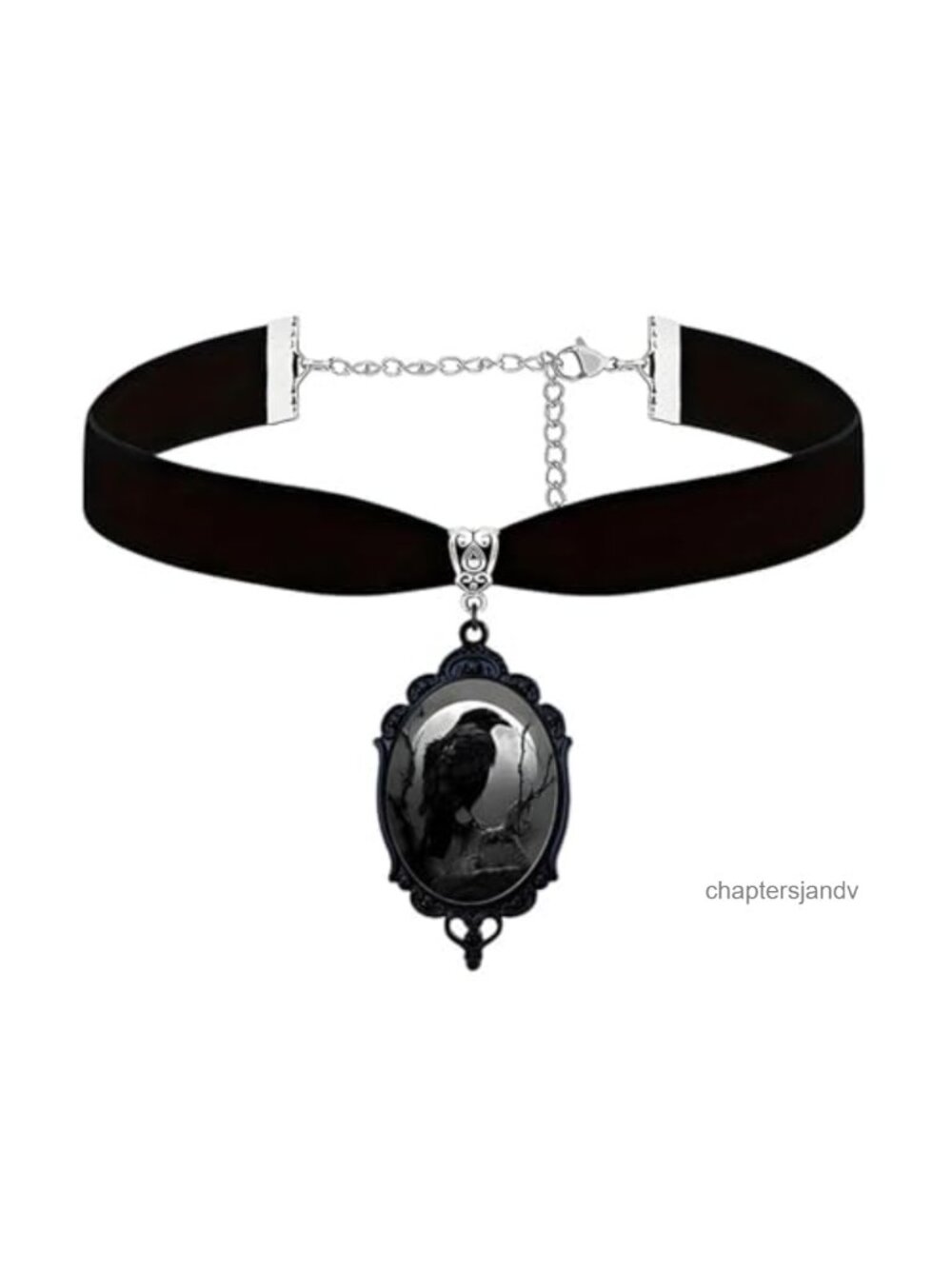 Gothic Raven Cameo Velvet Choker Necklace Glass Crystal Victorian Punk